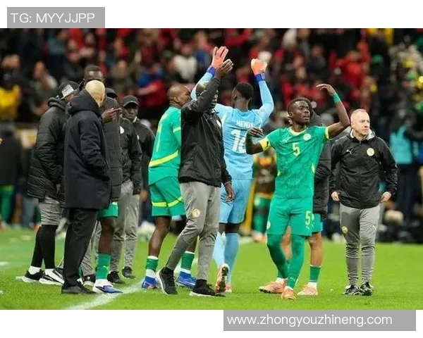 塞内加尔与韩国激战正酣比分揭晓引发热议