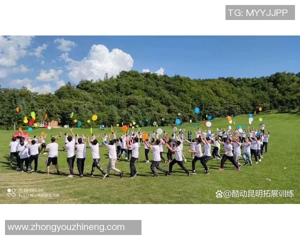 飞盘热潮下的成都飞盘队团队协作新模式探索与实践MBA