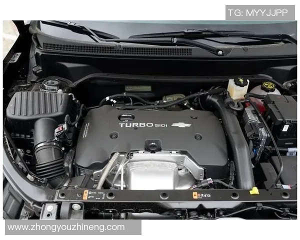 布雷达与维迪斯激战正酣谁能在这场对决中笑到最后