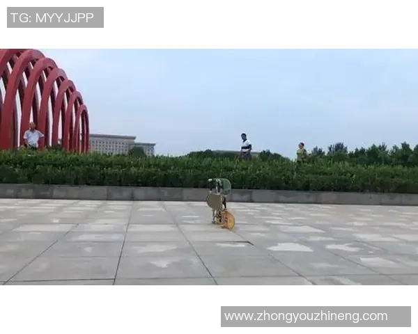 陈娜独家分享滑板技巧与心得体会助你轻松入门与提升滑板水平 陈娜独家分享滑板技巧与心得体会助你轻松入门与提升滑板水平